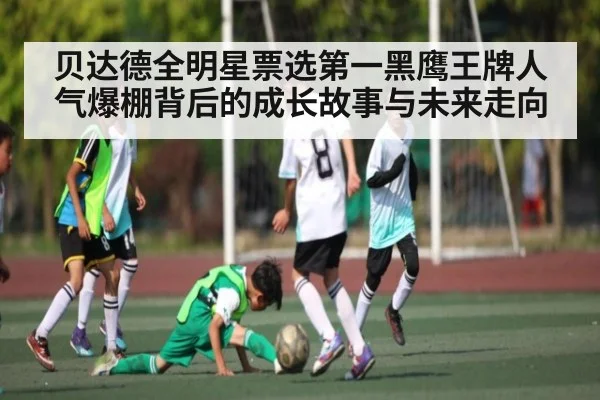 贝达德全明星票选第一黑鹰王牌人气爆棚背后的成长故事与未来走向